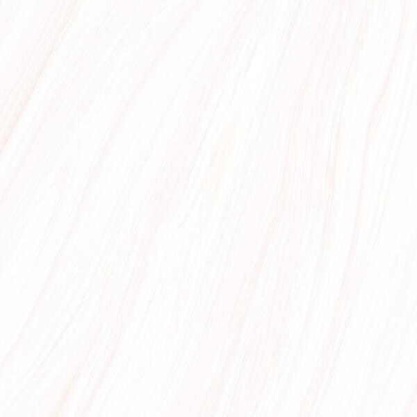 YMP55614T - Image 2